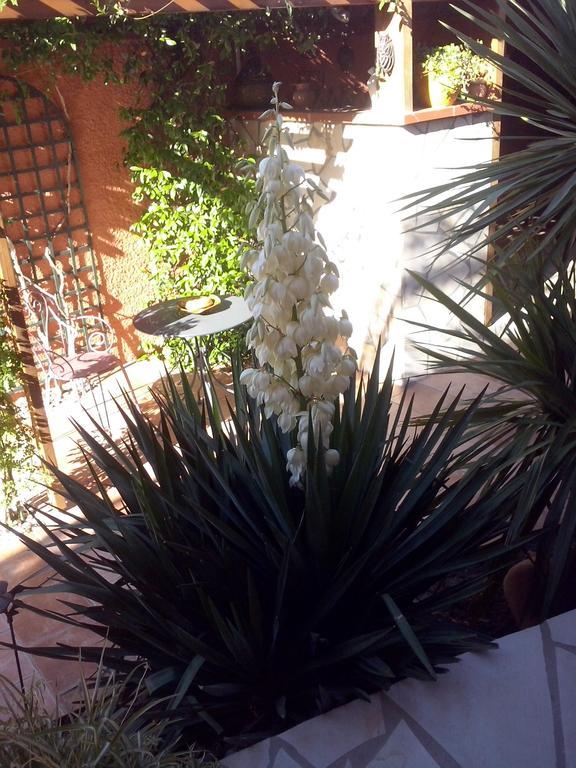 La Gentoliere Bed & Breakfast Pollestres Exterior foto